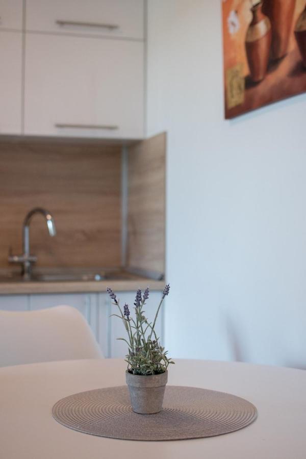בוג'ה Lavanda House With Apartments מראה חיצוני תמונה